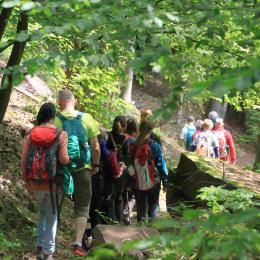 MT_2019_Wanderung_Neckarsteig