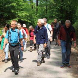 MT_2019_Wanderung_Neckarsteig